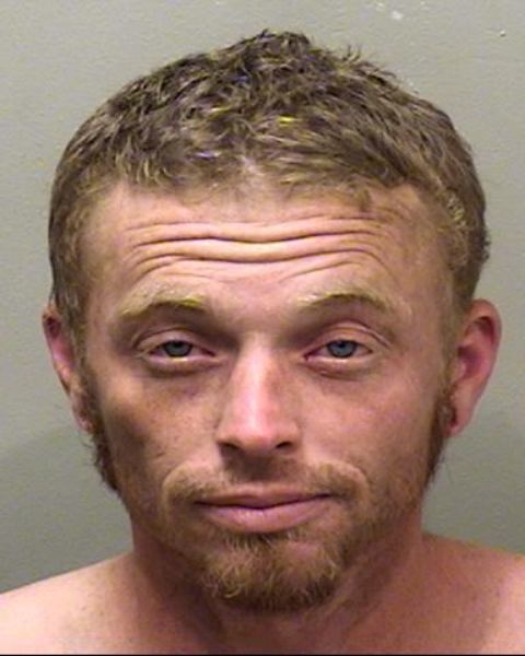 Darrell Cole Brown